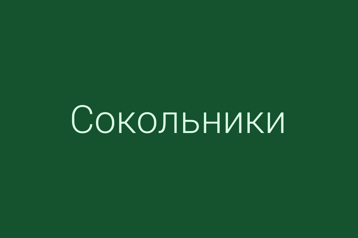 ЖК «Сокольники»