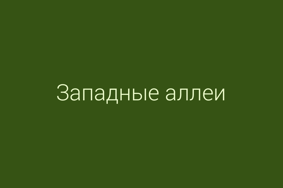 ЖК «Западные аллеи»
