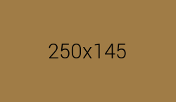 https://imgholder.ru/250x145/a07c46/000000&amp;text=250%D1%85145