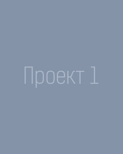 Проект 1